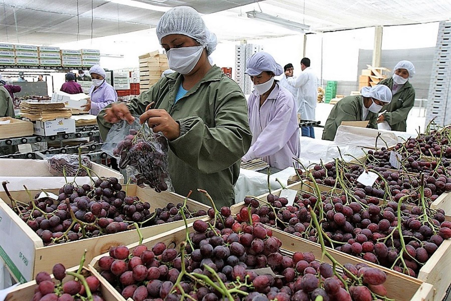 ComexPerú - Sociedad de Comercio Exterior del Perú